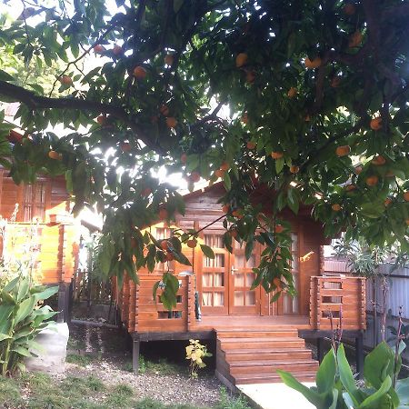 New Athos Cottage house מראה חיצוני תמונה