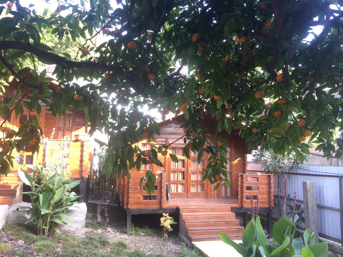 New Athos Cottage house מראה חיצוני תמונה