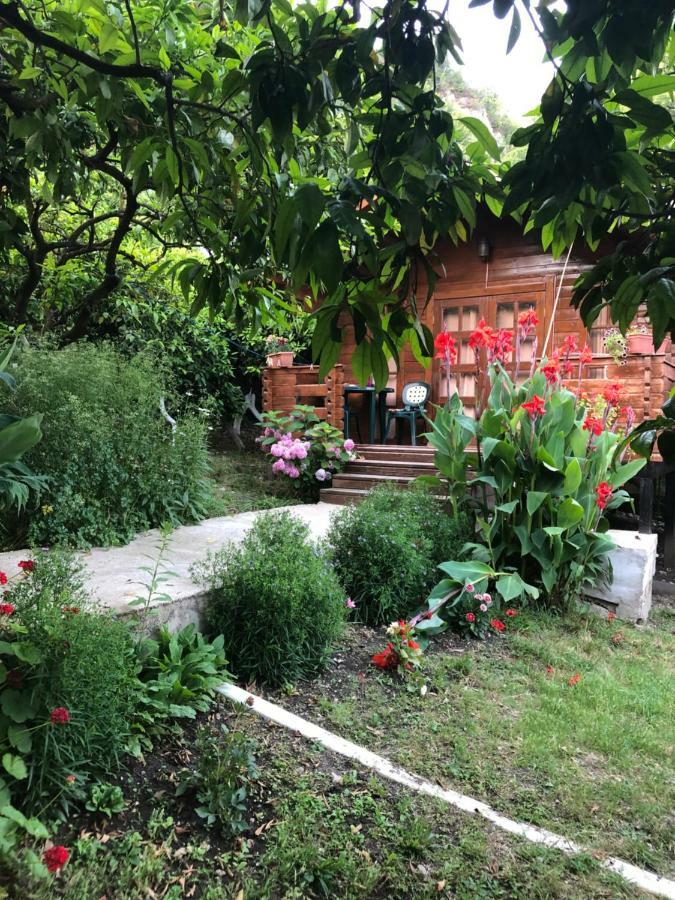 New Athos Cottage house מראה חיצוני תמונה